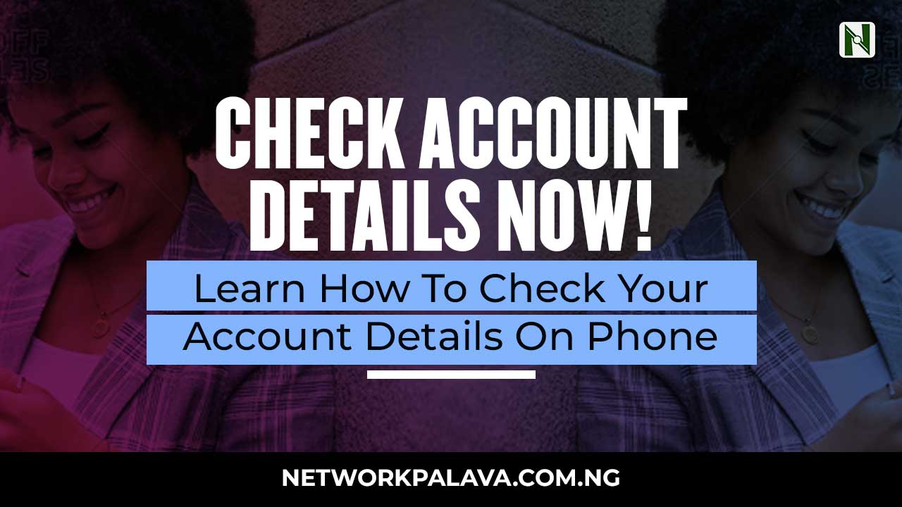 how-to-check-account-details-on-phone-network-palava